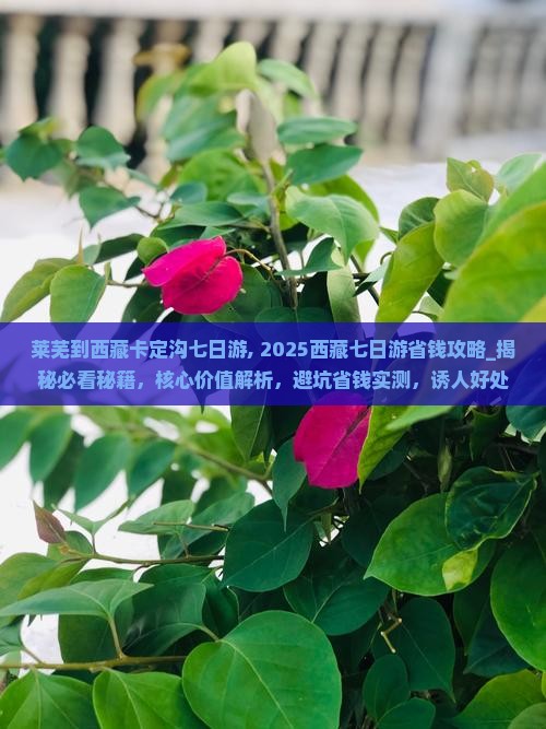 莱芜到西藏卡定沟七日游