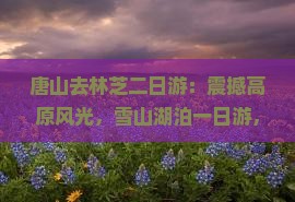 唐山去西藏林芝二日游