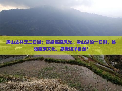 唐山去西藏林芝二日游