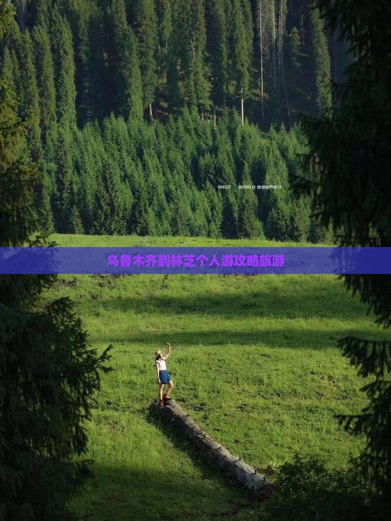 乌鲁木齐到西藏林芝个人游