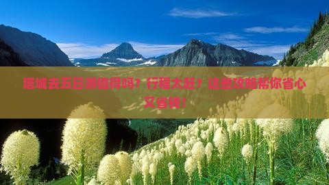 塔城去西藏五日游
