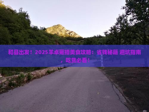 和县到西藏羊卓雍措旅游小吃