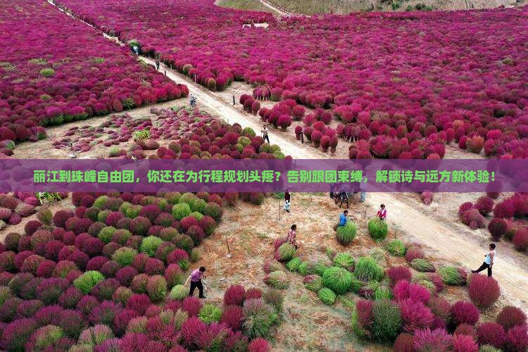 丽江到西藏珠峰大本营自由团