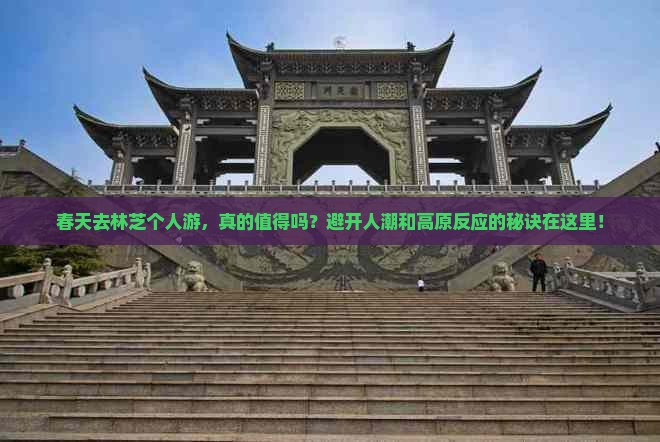 春天去西藏林芝个人游