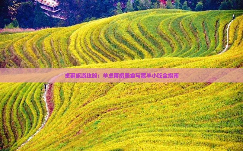 三月去西藏羊卓雍措旅游小吃