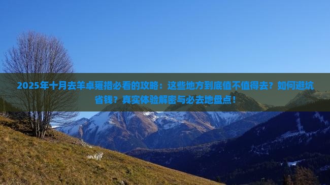 十月去西藏羊卓雍措必去地