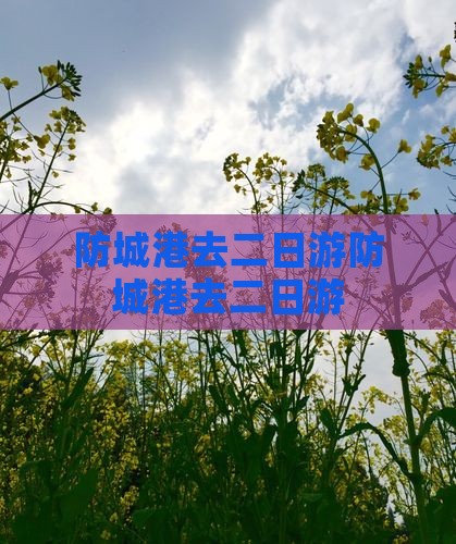防城港去西藏二日游