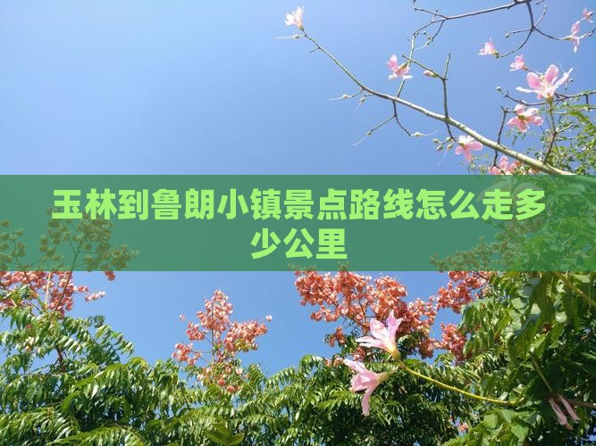 玉林到西藏鲁朗小镇景点
