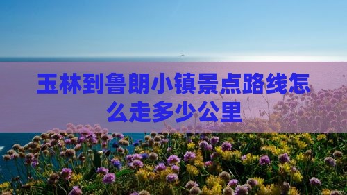 玉林到西藏鲁朗小镇景点
