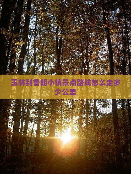玉林到西藏鲁朗小镇景点