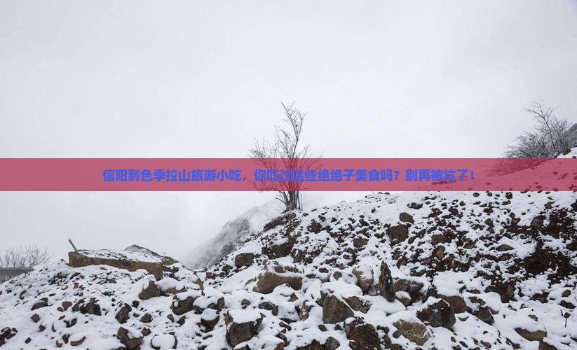 信阳到西藏色季拉山旅游小吃