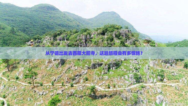 宁德到西藏大昭寺旅游
