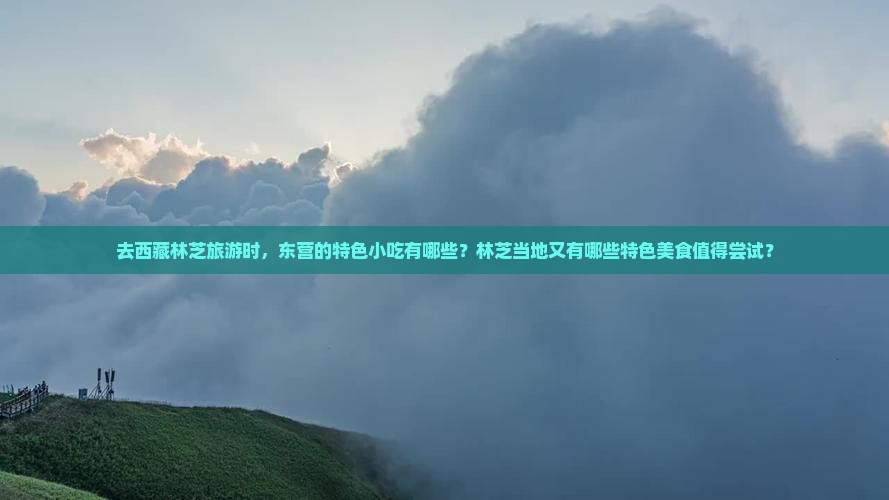 东营去西藏林芝旅游小吃