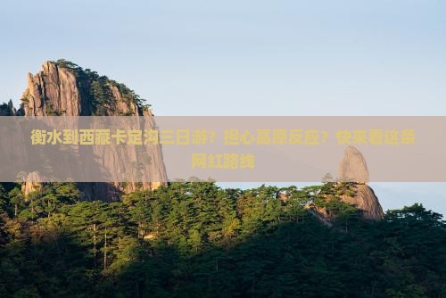 衡水去西藏卡定沟三日游
