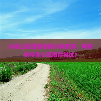唐山到西藏鲁朗小镇旅游小吃