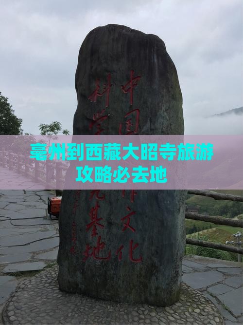 亳州去西藏大昭寺必去地