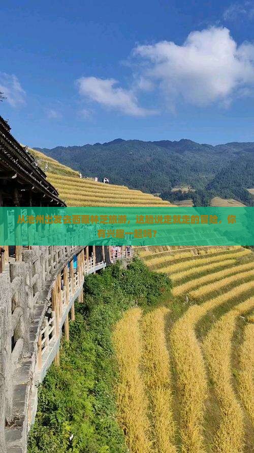 池州去西藏林芝旅游