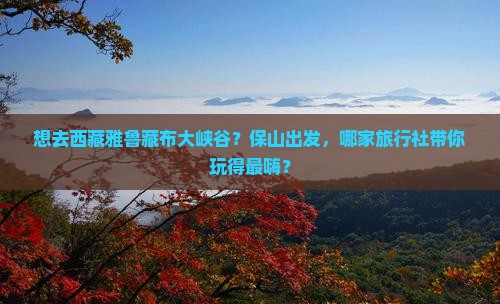 保山到西藏雅鲁藏布大峡谷旅行社