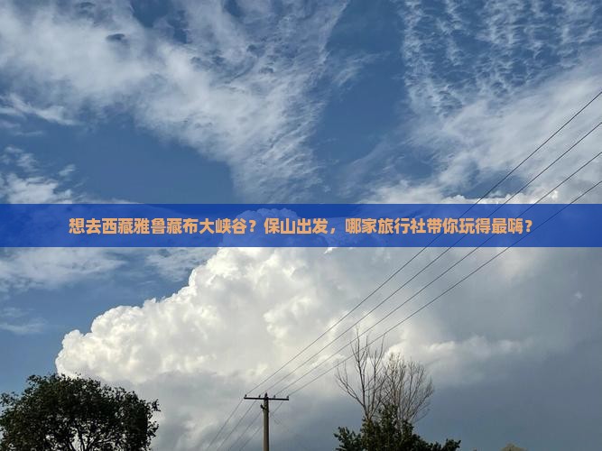 保山到西藏雅鲁藏布大峡谷旅行社