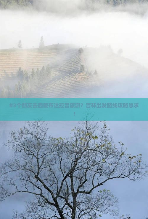 吉林到西藏布达拉宫旅游