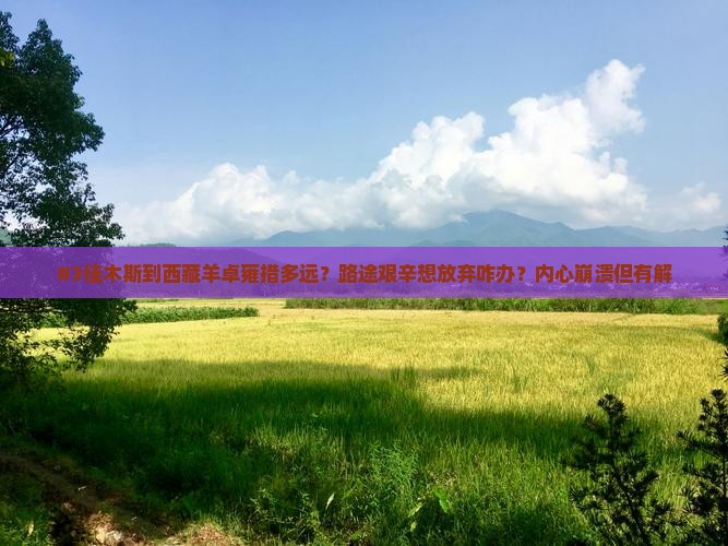 佳木斯到西藏羊卓雍措景点