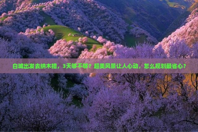 白城去西藏纳木措三日游