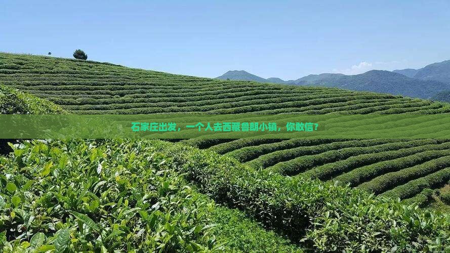 石家庄到西藏鲁朗小镇个人游