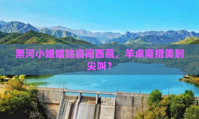 黑河去西藏羊卓雍措个人游