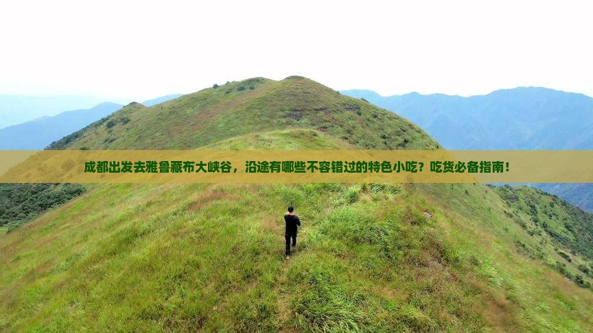 成都到西藏雅鲁藏布大峡谷旅游小吃