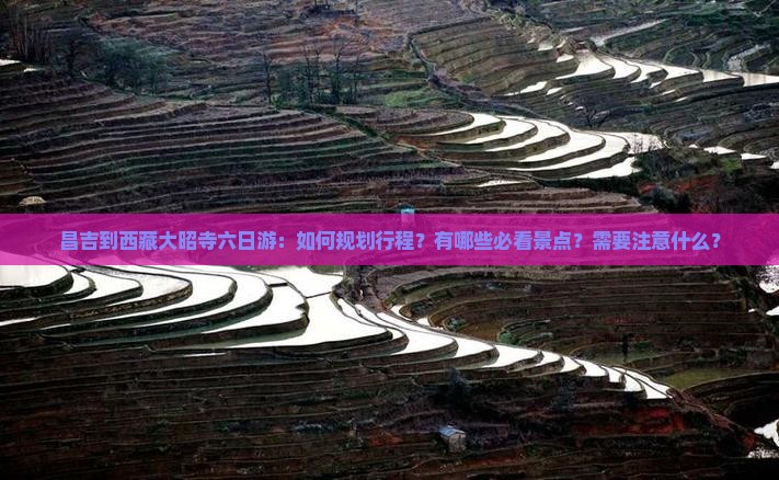 昌吉到西藏大昭寺六日游