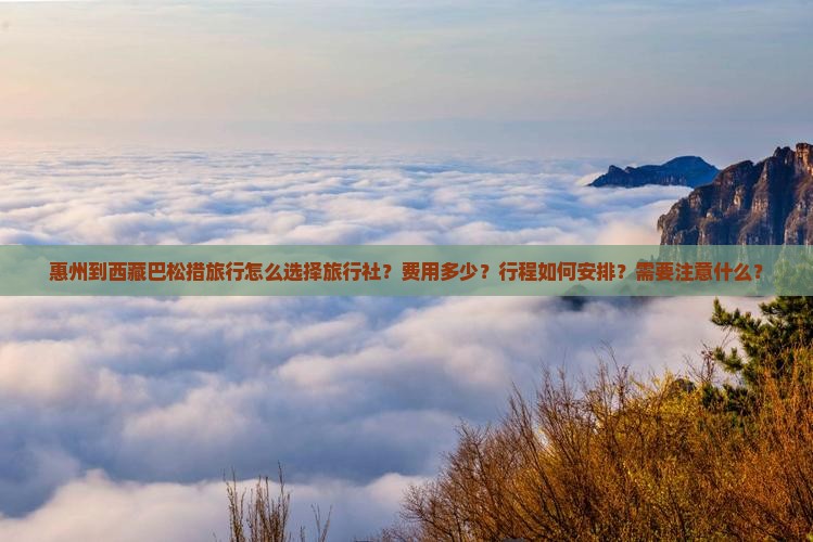 惠州到西藏巴松措旅行社