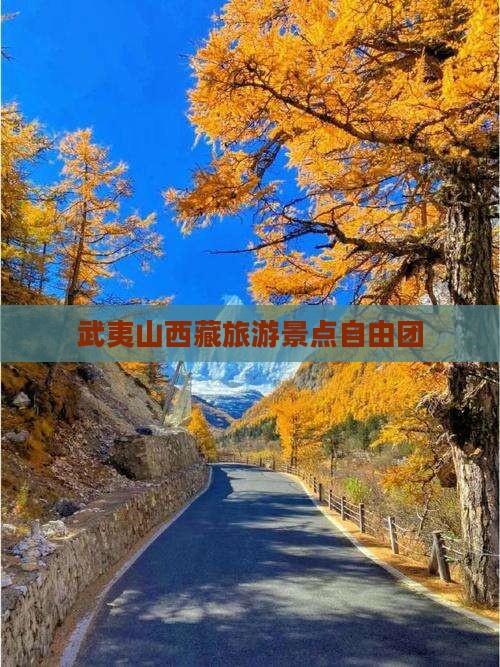 武夷山去西藏自由团