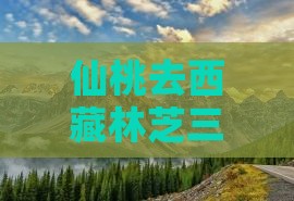 仙桃去西藏林芝三日游