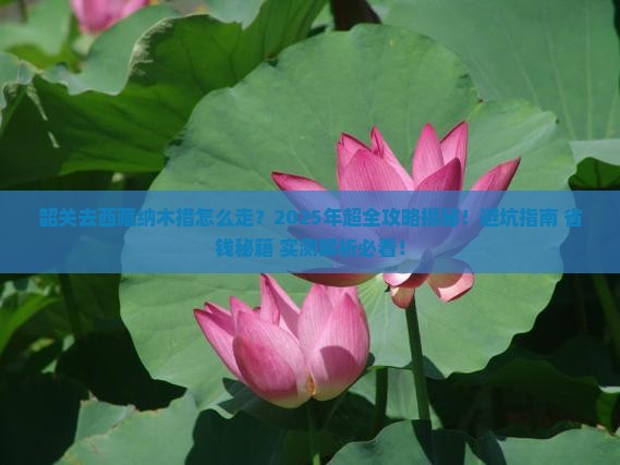 韶关去西藏纳木措攻略
