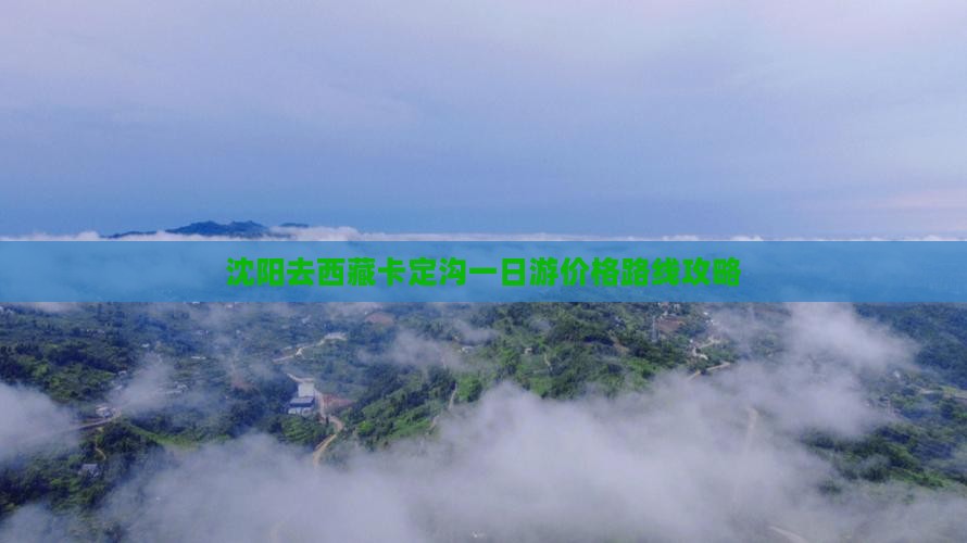 沈阳去西藏卡定沟一日