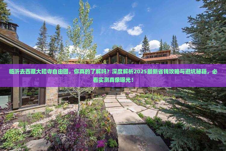 临沂去西藏大昭寺自由团