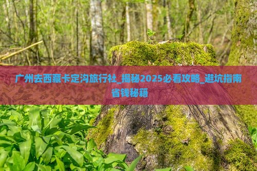 广州去西藏卡定沟旅行社
