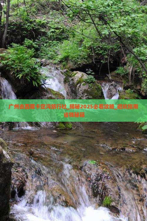 广州去西藏卡定沟旅行社