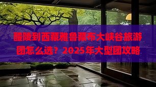 醴陵到西藏雅鲁藏布大峡谷大型旅游团