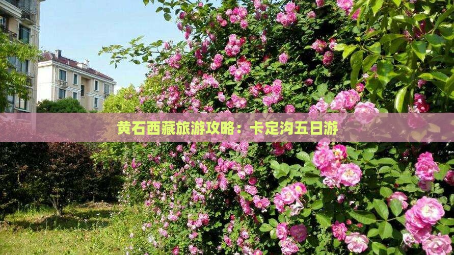 黄石去西藏卡定沟五日游