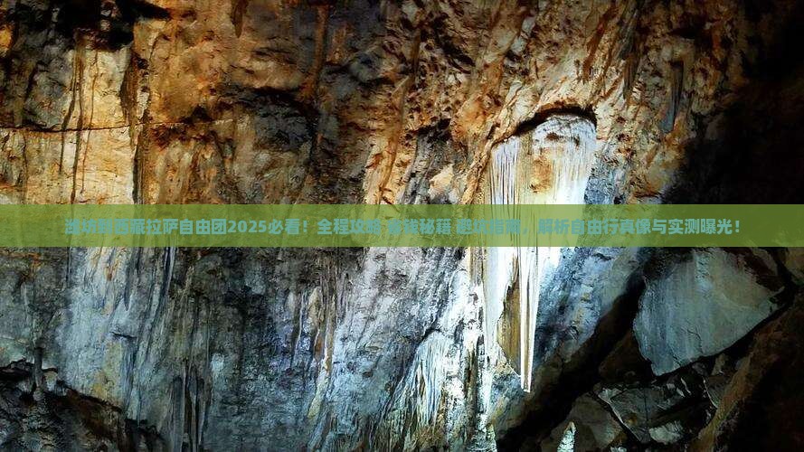 潍坊到西藏拉萨自由团