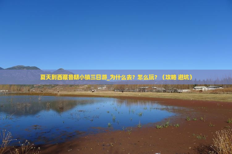 夏天到西藏鲁朗小镇三日游