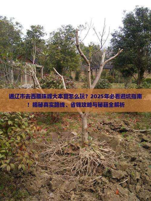 通辽市去西藏珠峰大本营哪里玩