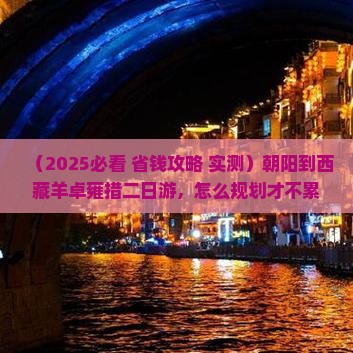 朝阳到西藏羊卓雍措二日游