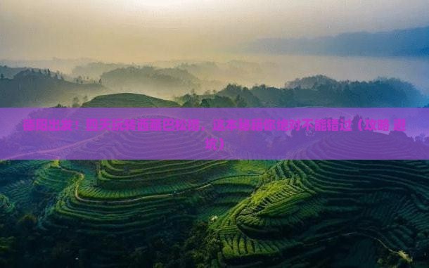 德阳到西藏巴松措四日游