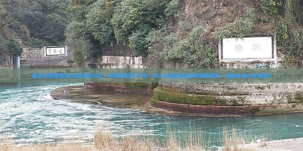 迪庆去西藏鲁朗小镇旅游小吃