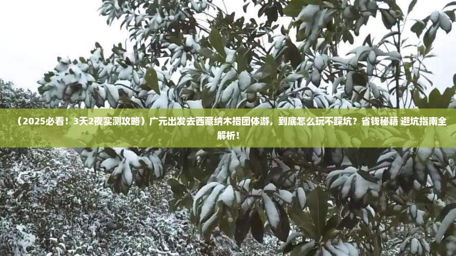 广元去西藏纳木措团体旅游