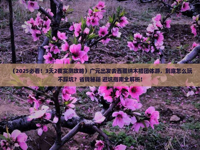 广元去西藏纳木措团体旅游