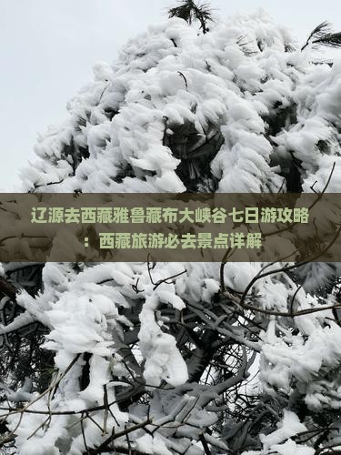 辽源去西藏雅鲁藏布大峡谷七日游