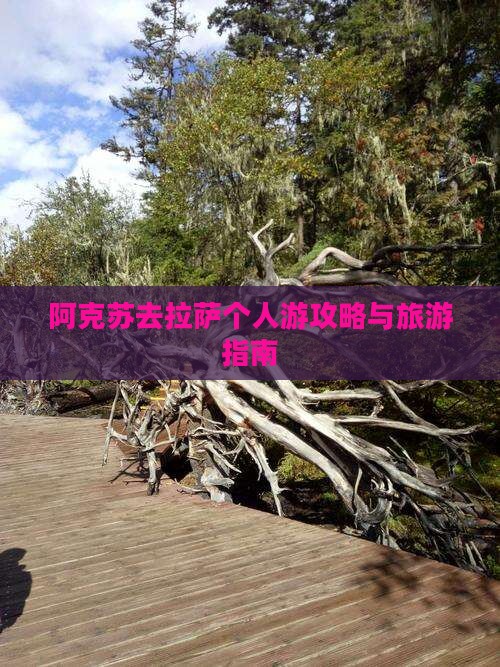 阿克苏去西藏拉萨个人游